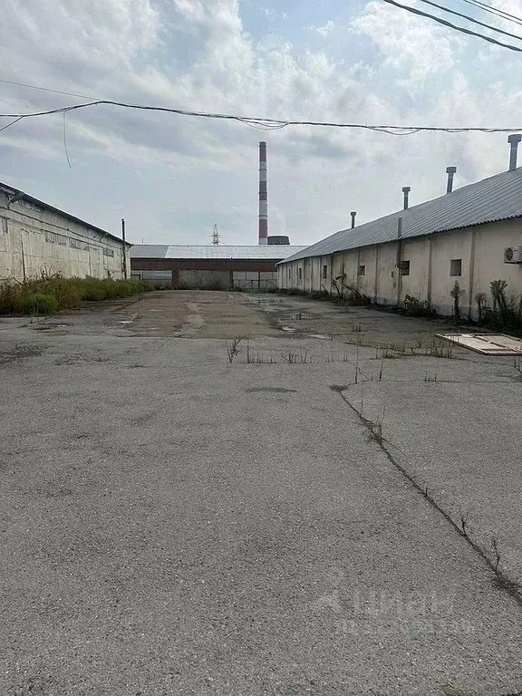 Склад в Ростовская область, Ростов-на-Дону Совхозная ул., 2Ц (1800 м) - Фото 2