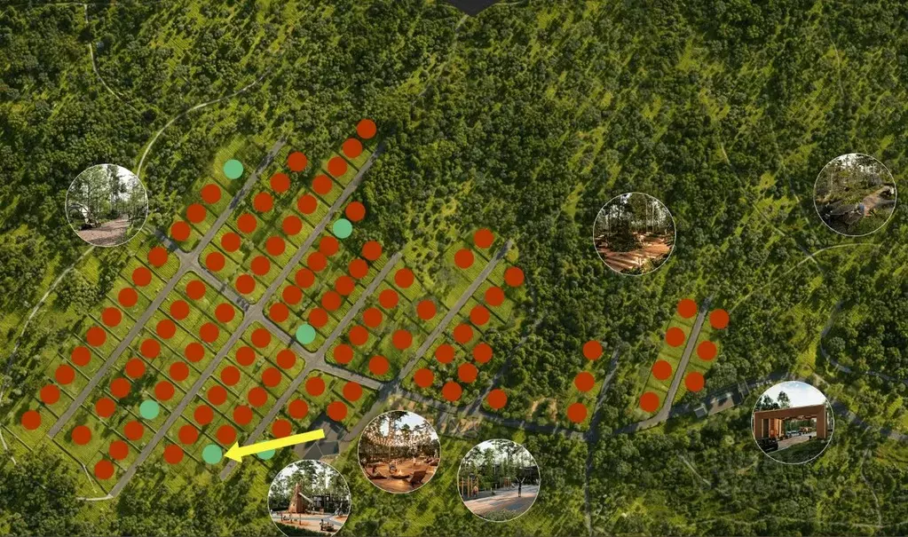 Участок в Ленинградская область, Всеволожский район, Куйвозовское ... - Фото 2