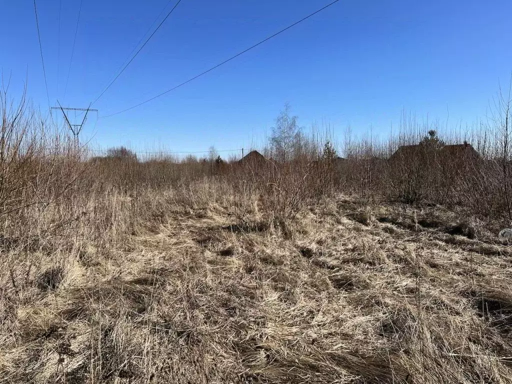 Участок в Владимирская область, Суздальский район, Новоалександровское ... - Фото 1