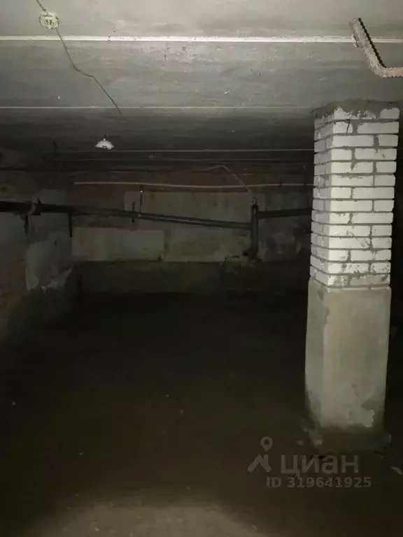 Помещение свободного назначения в Владимирская область, Селивановский ... - Фото 1