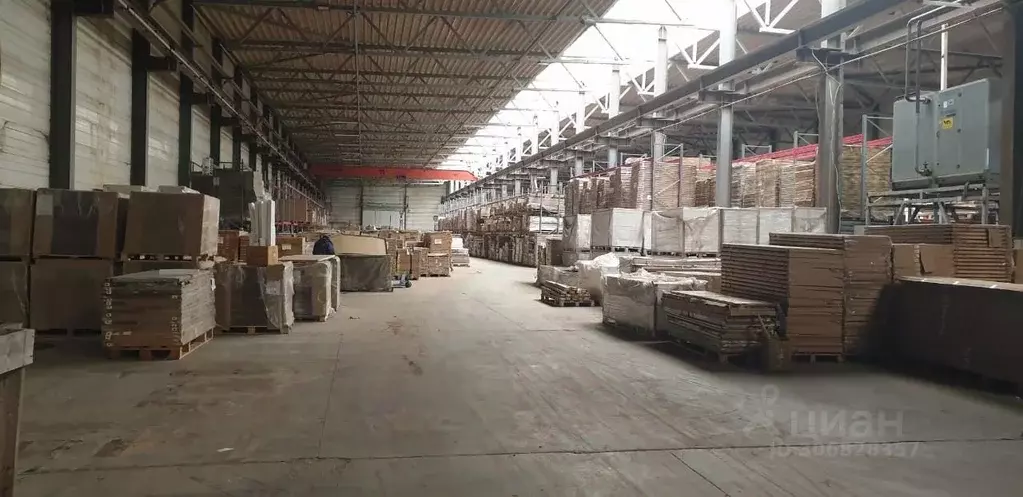 Производственное помещение в Калининградская область, Светлый ... - Фото 0