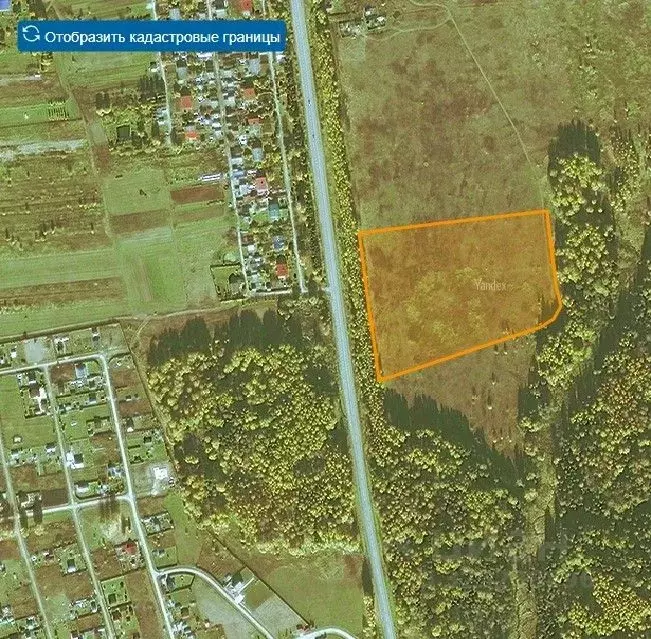 Участок в Московская область, Шаховская муниципальный округ, д. Дор  ... - Фото 2