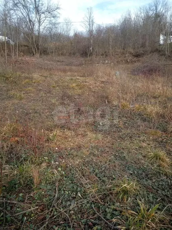 Участок в Краснодарский край, Геленджик городской округ, с. ... - Фото 1