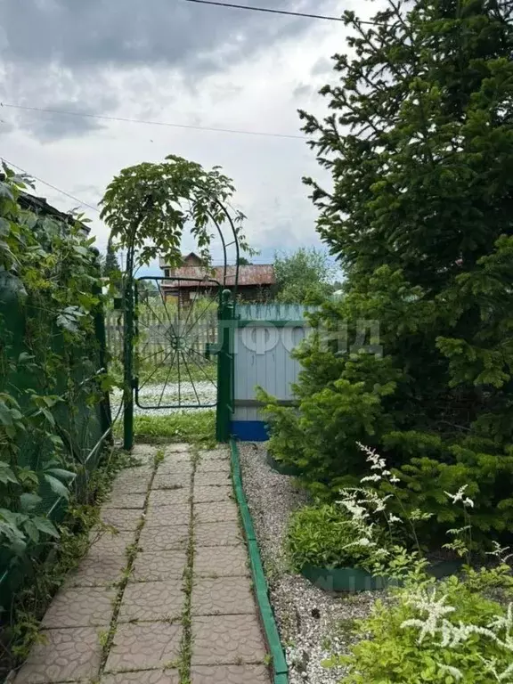 Дом в Новосибирская область, Тогучинский район, Автомобилист СНТ ул. ... - Фото 0