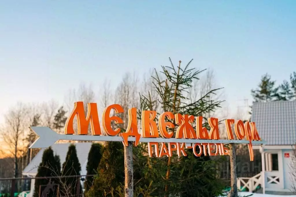 Комната Ленинградская область, Бокситогорский район, Ефимовское ... - Фото 1