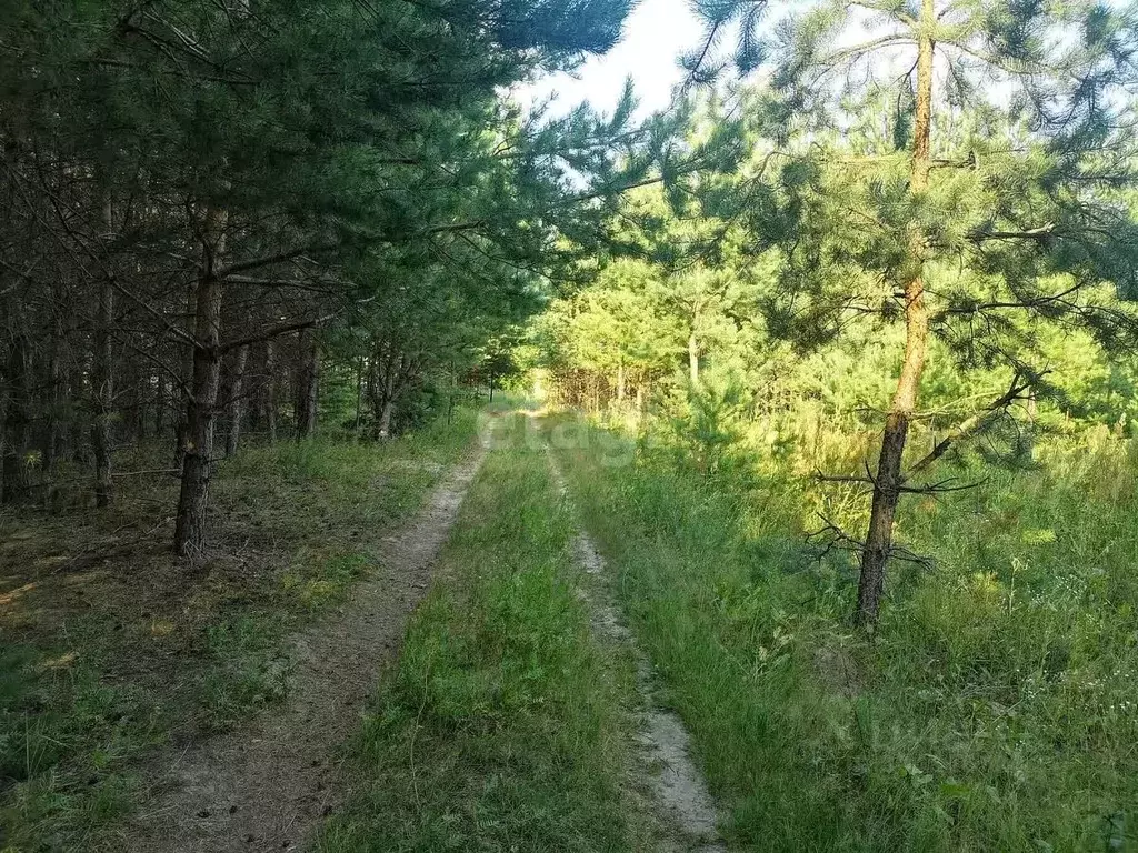 Участок в Владимирская область, Муром ул. Свердлова (9.4 сот.) - Фото 1