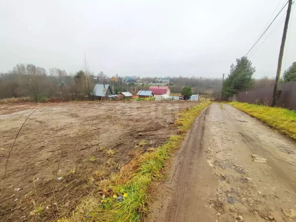 Участок в Костромская область, Красносельский район, Боровиковское ... - Фото 2