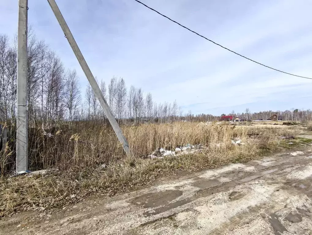 Участок в Тюменская область, Нижнетавдинский район, Сочинские СНТ 15-я ... - Фото 0