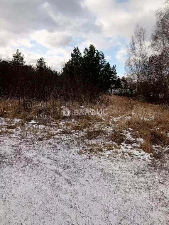 Участок в Воронежская область, Рамонский район, Айдаровское с/пос, ... - Фото 1