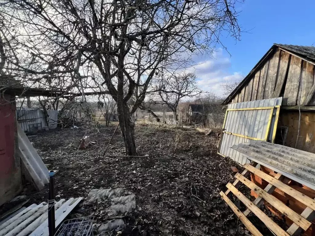 Участок в Белгородская область, Яковлевский муниципальный округ, ... - Фото 1