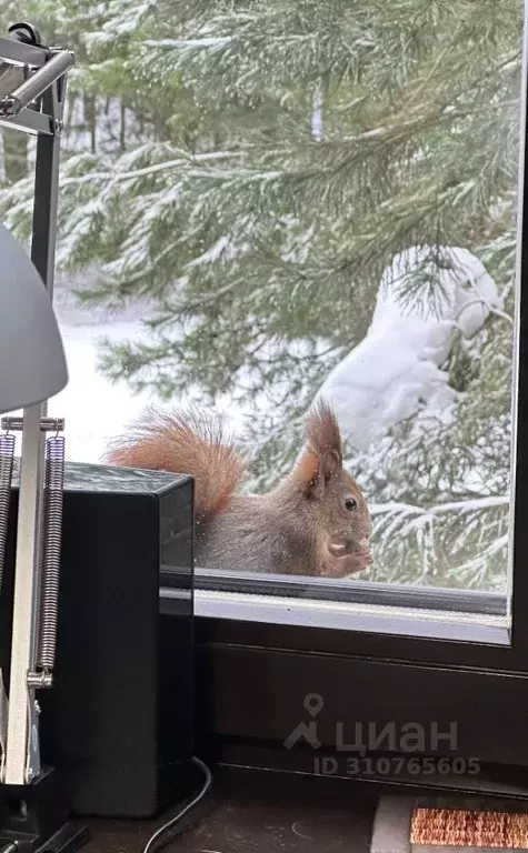 Участок в Тульская область, Заокский район, Страховское с/пос, д. ... - Фото 1