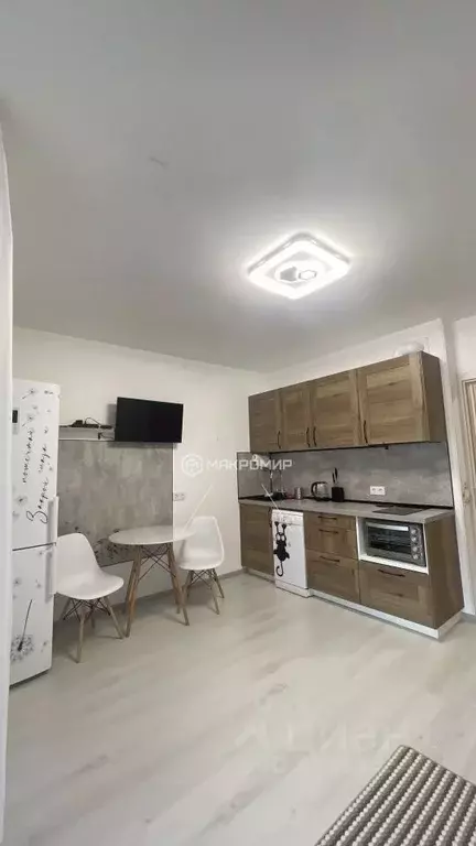 Студия Санкт-Петербург просп. Буденного, 19к2 (24.5 м) - Фото 1