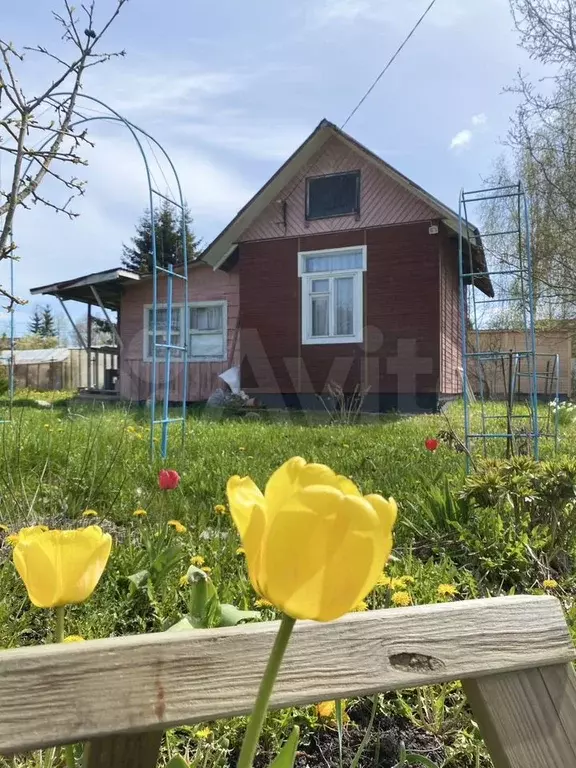 Участок 12 сот. (СНТ, ДНП) - Фото 0