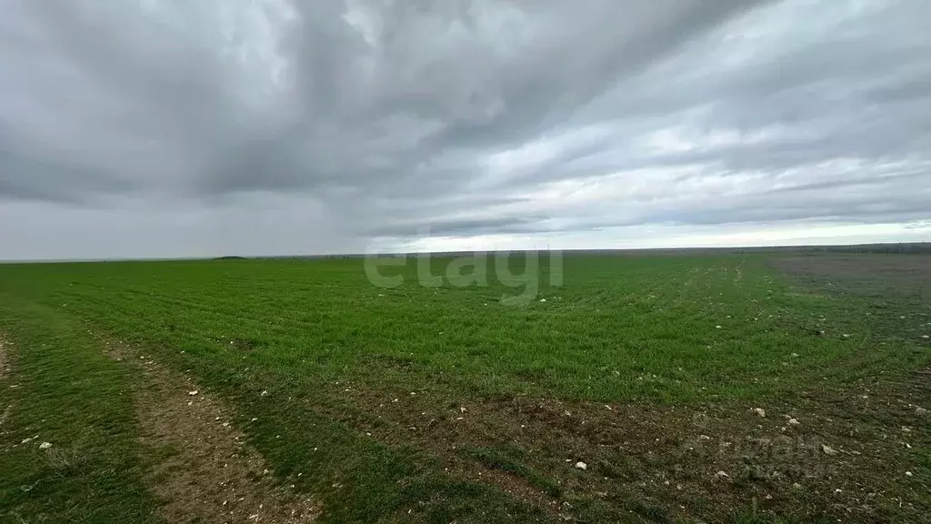 Участок в Крым, Черноморский район, с. Окуневка  (428.73 сот.) - Фото 1