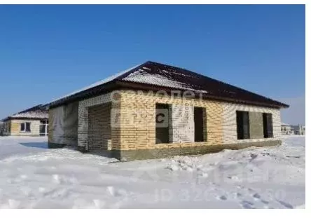 Дом в Алтайский край, Павловский район, пос. Новые зори ул. Рябиновая, ... - Фото 1