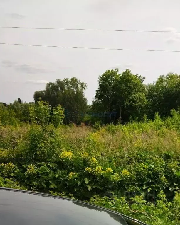 Участок в Нижегородская область, Вадский муниципальный округ, с. ... - Фото 1