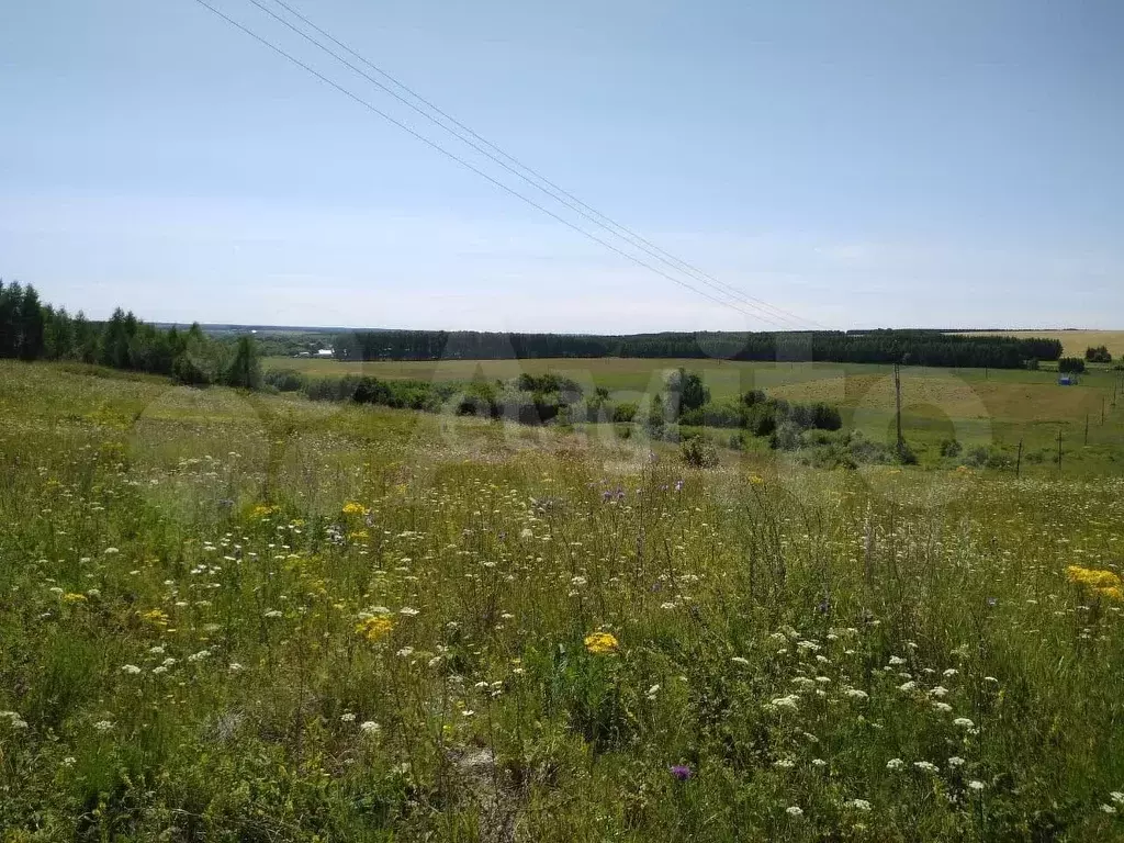 Участок 10 га (СНТ, ДНП) - Фото 1