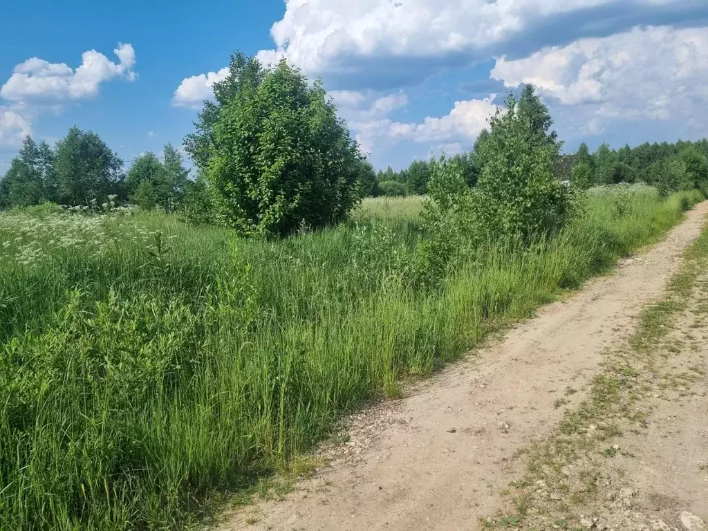 Участок в Московская область, Клин городской округ, д. Задний Двор, ... - Фото 1