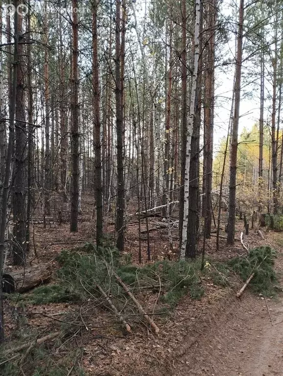 Участок в село Черноусово, Ключевская улица (15 м) - Фото 0