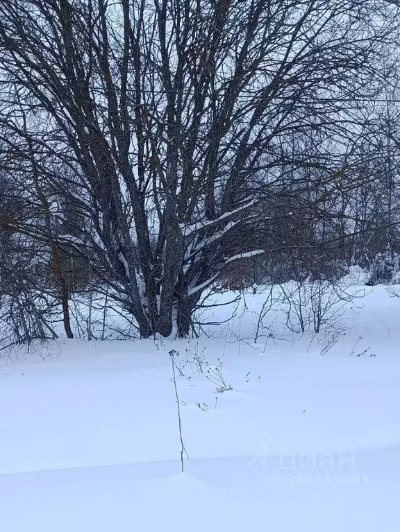 Участок в Московская область, Чехов муниципальный округ, д. Булычево  ... - Фото 2