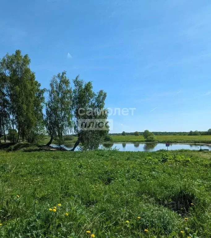 Дом в Московская область, Щелково городской округ, с. Петровское ул. ... - Фото 2