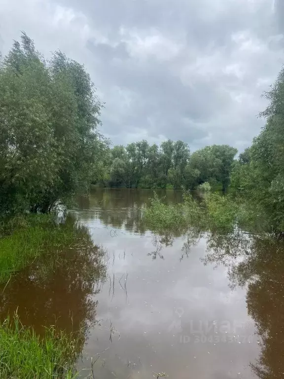 Дом в Омская область, Омск СОСН Союз тер.,  (40 м) - Фото 1