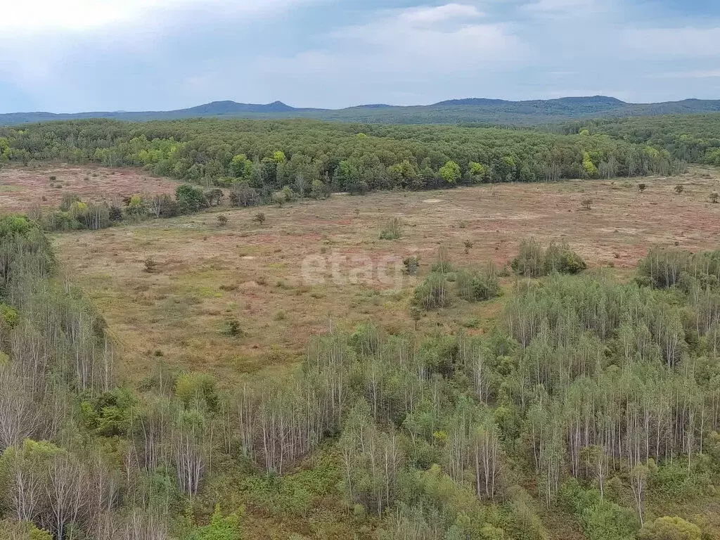 Участок в Хабаровский район, село Корсаково-2 (310 м) - Фото 1