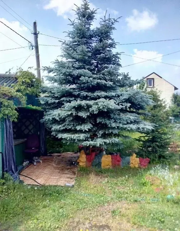 Дом в Ленинградская область, Кировское городское поселение, Беляевский ... - Фото 1