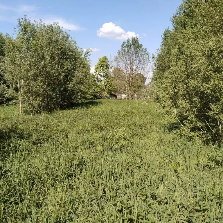 Участок в Ярославская область, Рыбинский муниципальный округ, Волжское ... - Фото 0
