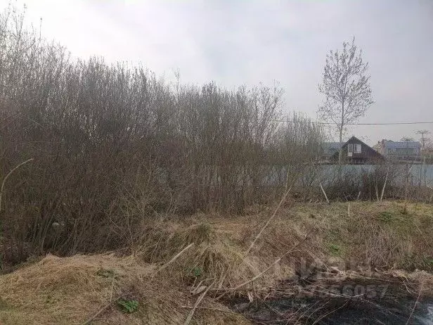 Участок в Московская область, Солнечногорск городской округ, д. Ложки  ... - Фото 0