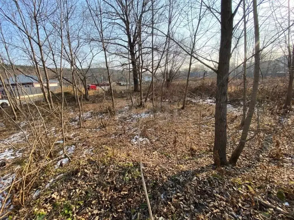 Участок в Сахалинская область, Долинск ул. Вилкова (12.5 сот.) - Фото 1