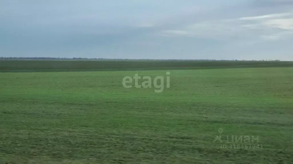 Участок в Крым, Сакский район, с. Штормовое ул. Южная (6.0 сот.) - Фото 0