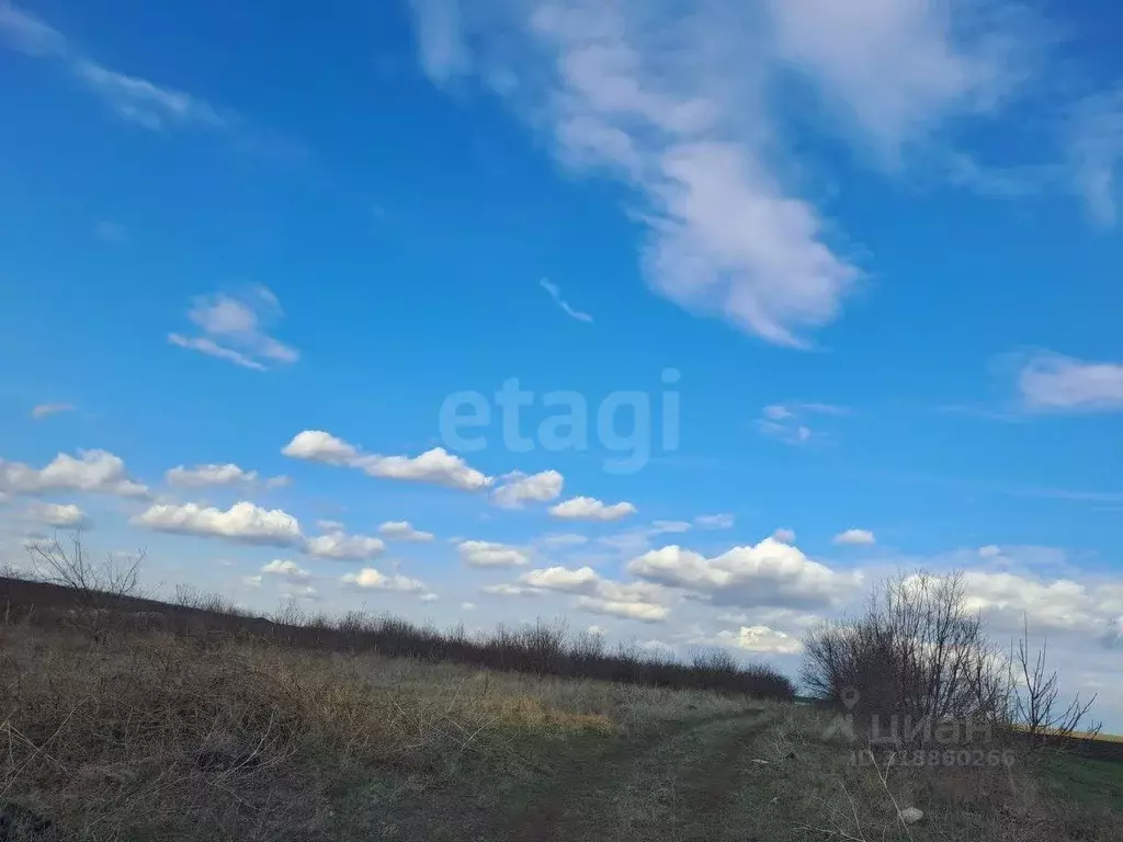 Участок в Ростовская область, Аксайский район, Большой Лог хут.  ... - Фото 0