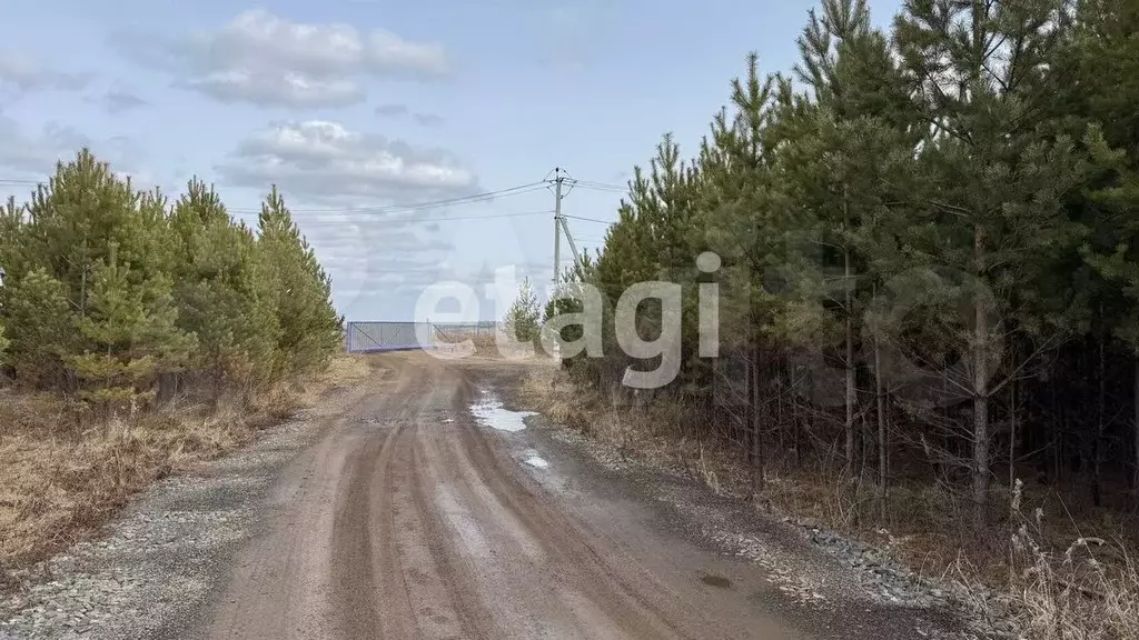 Участок 20,9 сот. (СНТ, ДНП) - Фото 1