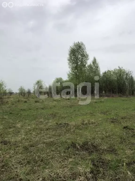 Участок в Тульская область, муниципальное образование Тула, село ... - Фото 0