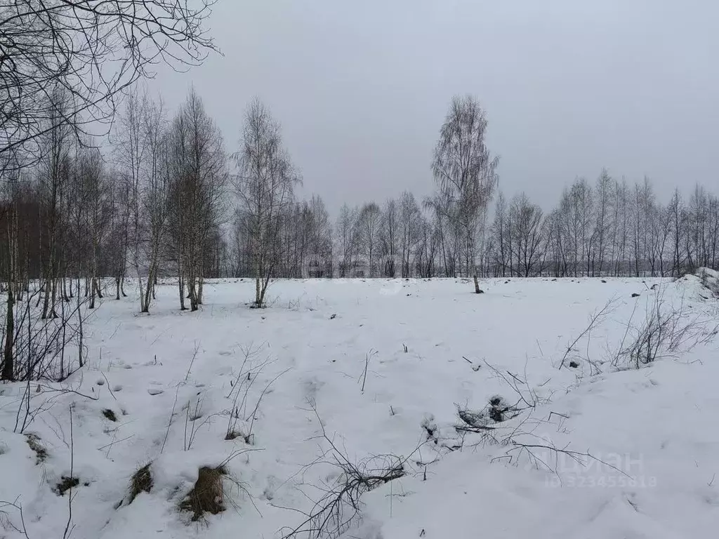 Участок в Ярославская область, Некрасовский муниципальный округ, д. ... - Фото 1