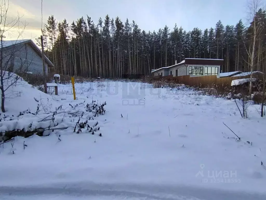 Участок в Свердловская область, Сысертский муниципальный округ, с. ... - Фото 1