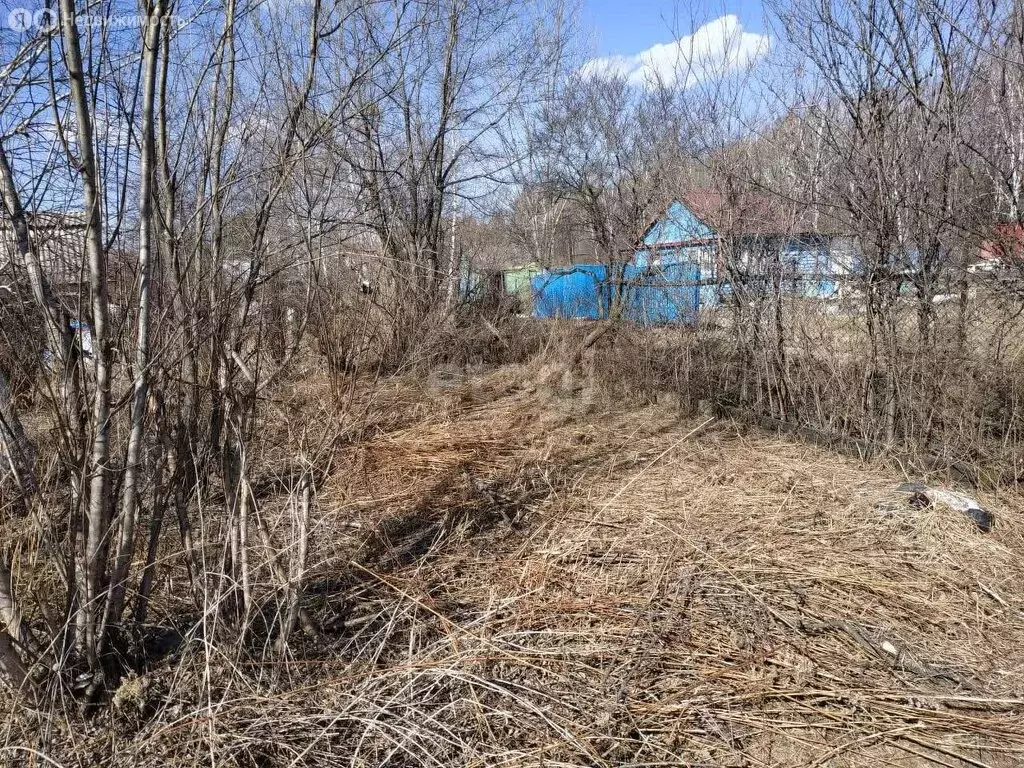 Участок в Хабаровский район, садоводческое некоммерческое товарищество ... - Фото 1