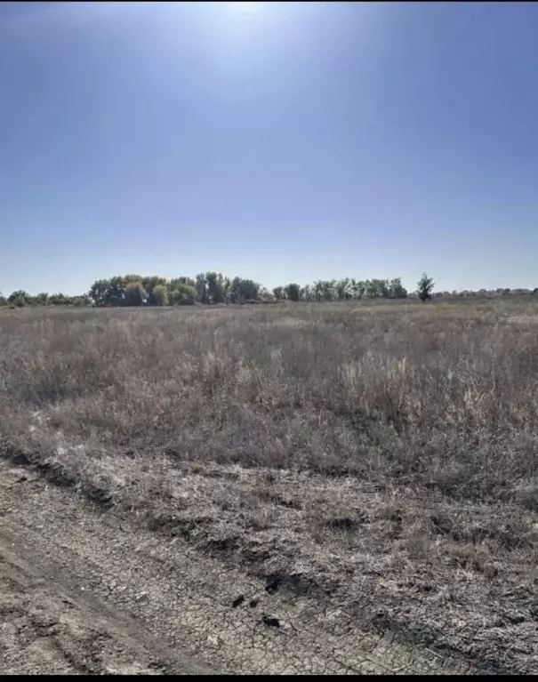 Участок в Волгоградская область, Среднеахтубинский район, Куйбышевское ... - Фото 1