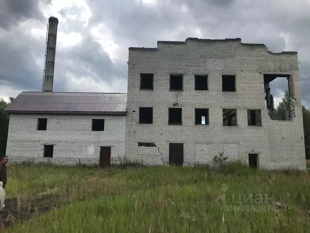 Помещение свободного назначения в Владимирская область, Петушинский ... - Фото 0