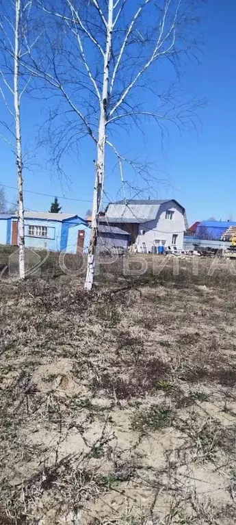 Участок в Тюменская область, Тюмень Садовое товарищество Липовый ... - Фото 1