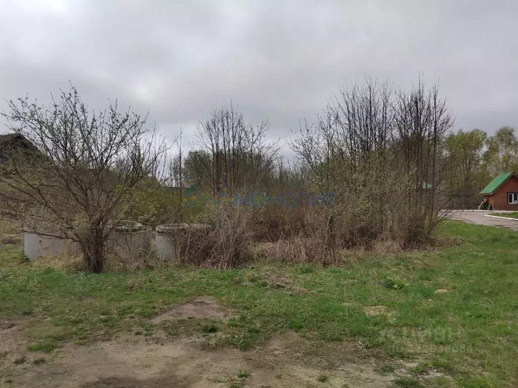 Участок в Нижегородская область, Городецкий муниципальный округ, с. ... - Фото 2