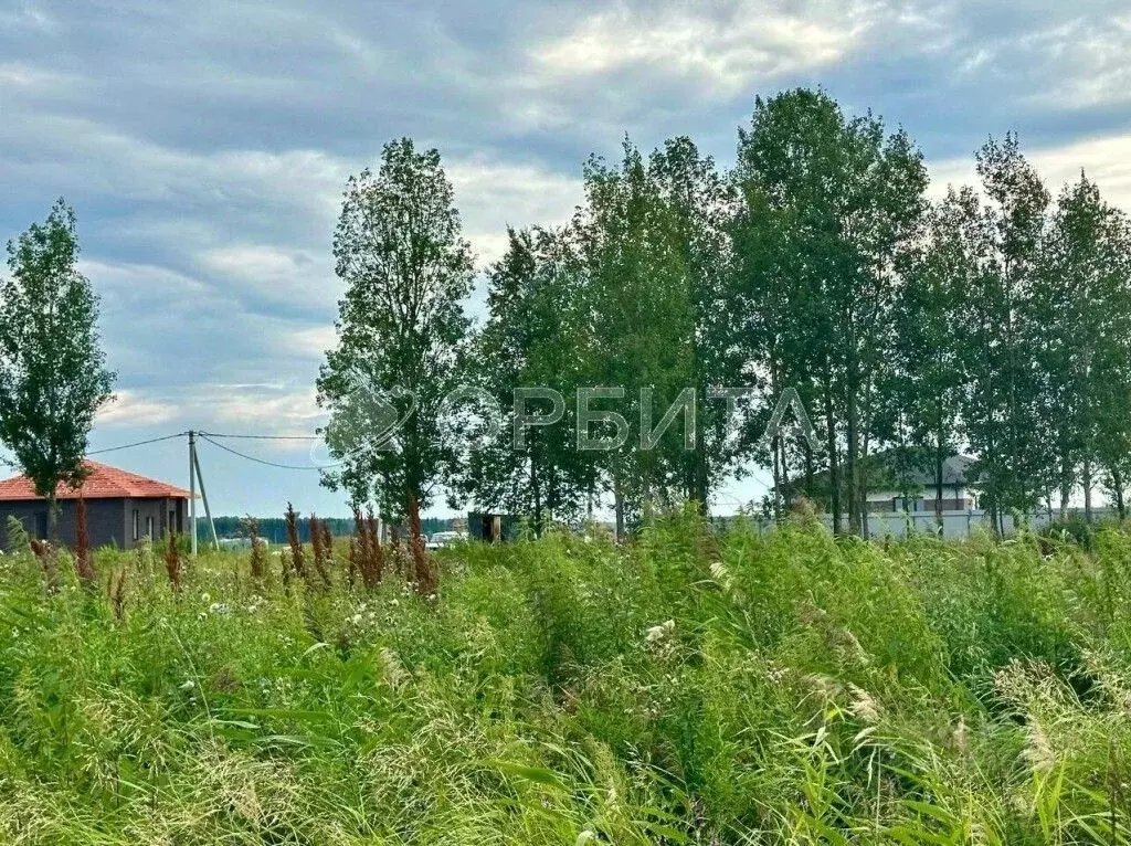 Участок в Тюменская область, Тюменский район, с. Перевалово, Чистые ... - Фото 0