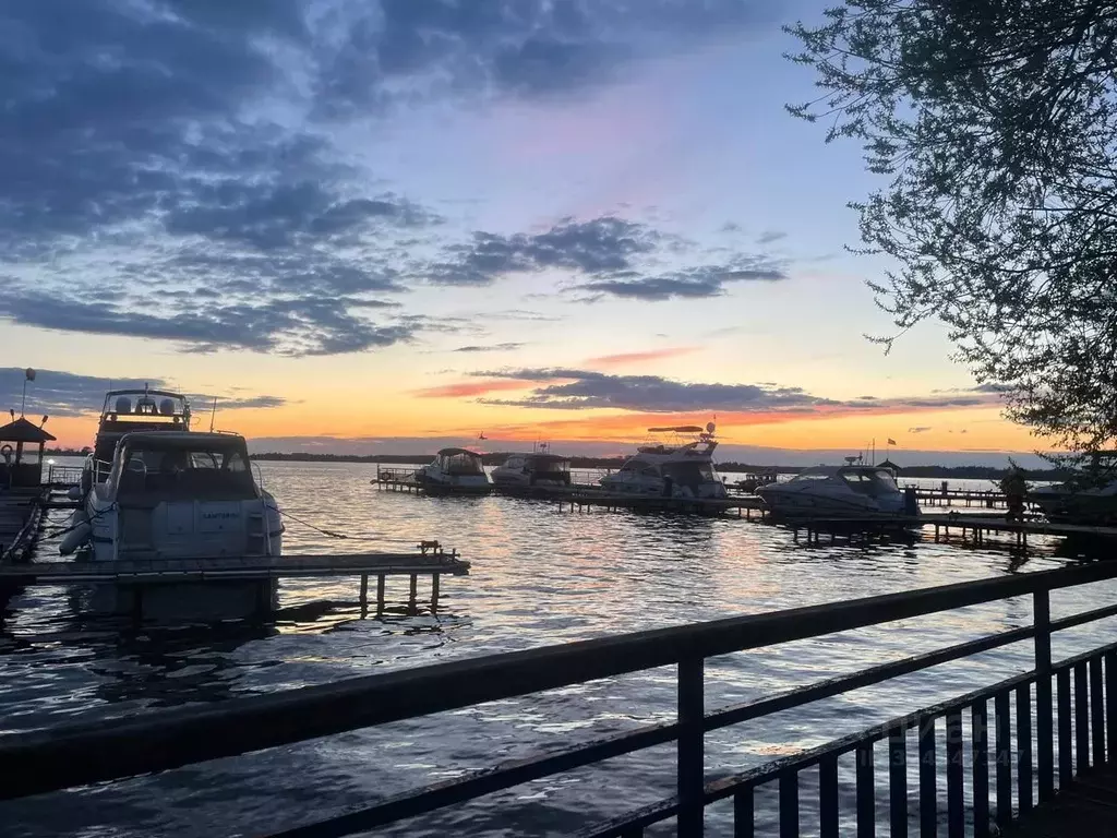 Участок в Тверская область, Конаковский муниципальный округ, ... - Фото 2