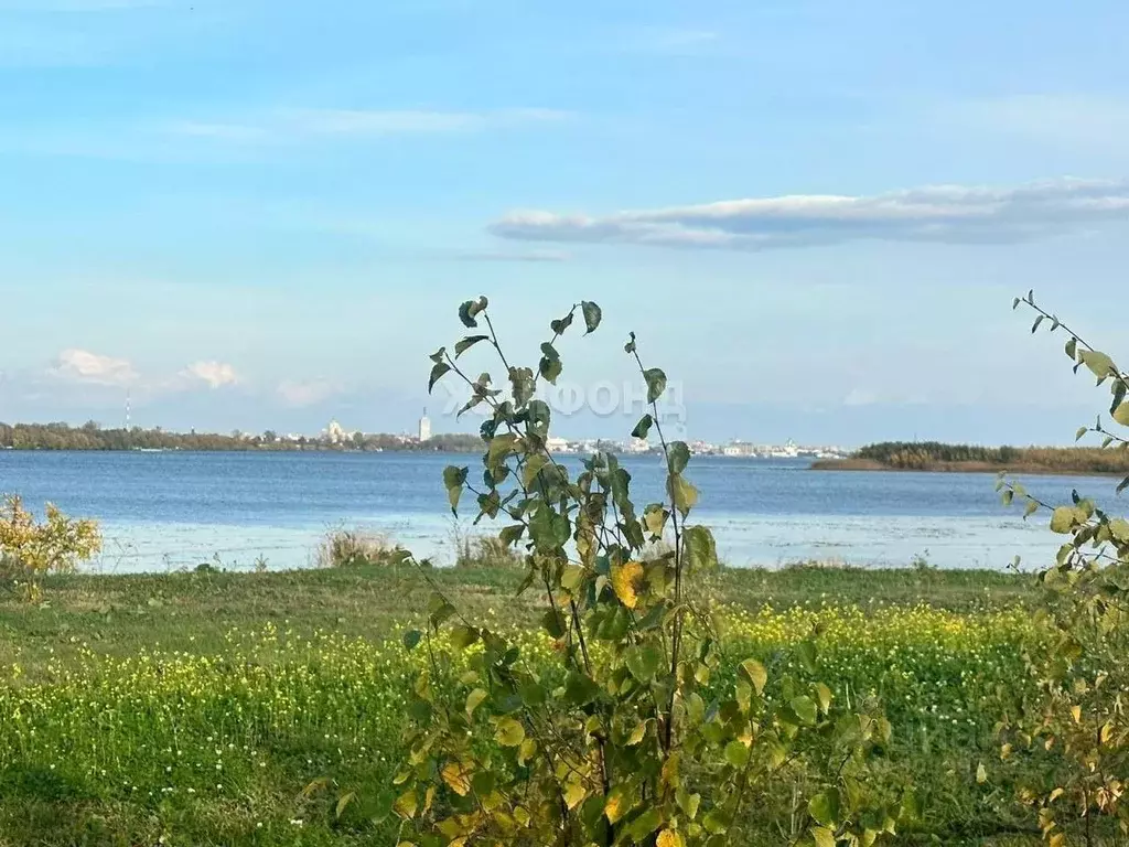 Участок в Архангельская область, Архангельск Малое Никольское ТСН,  ... - Фото 0