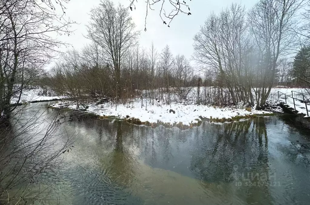 Участок в Ленинградская область, Ломоносовский район, Ропшинское ... - Фото 1