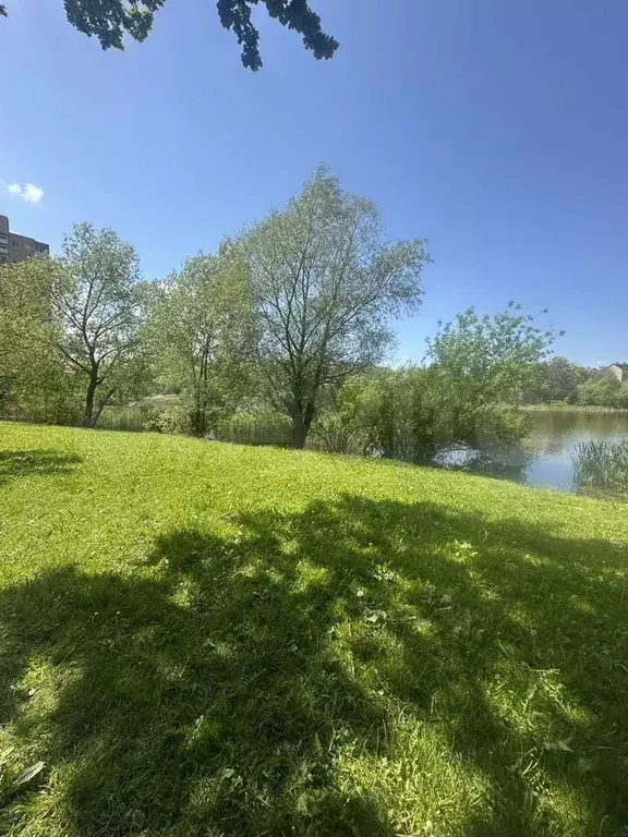 1-к. квартира, 28,7 м, 6/8 эт. - Фото 0