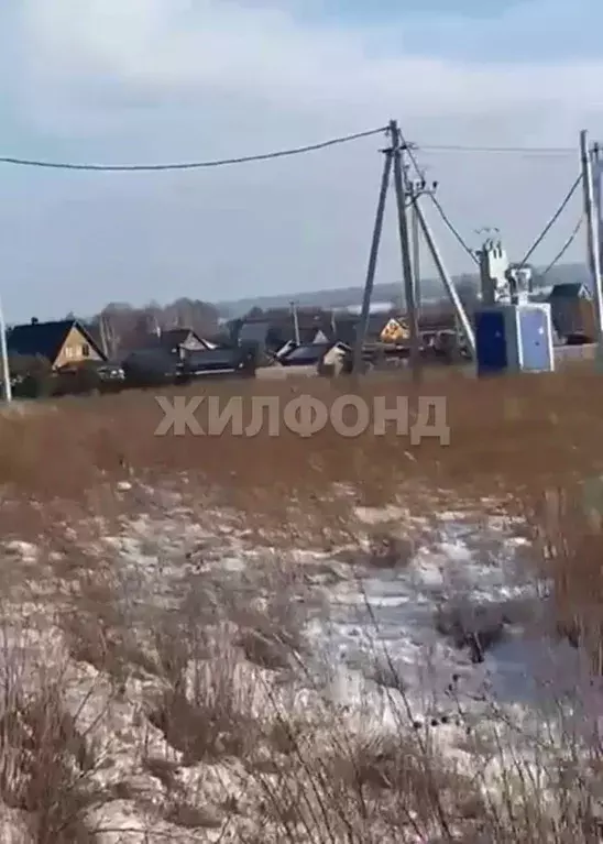 Участок в Новосибирская область, Ордынский район, с. Красный Яр ул. ... - Фото 2