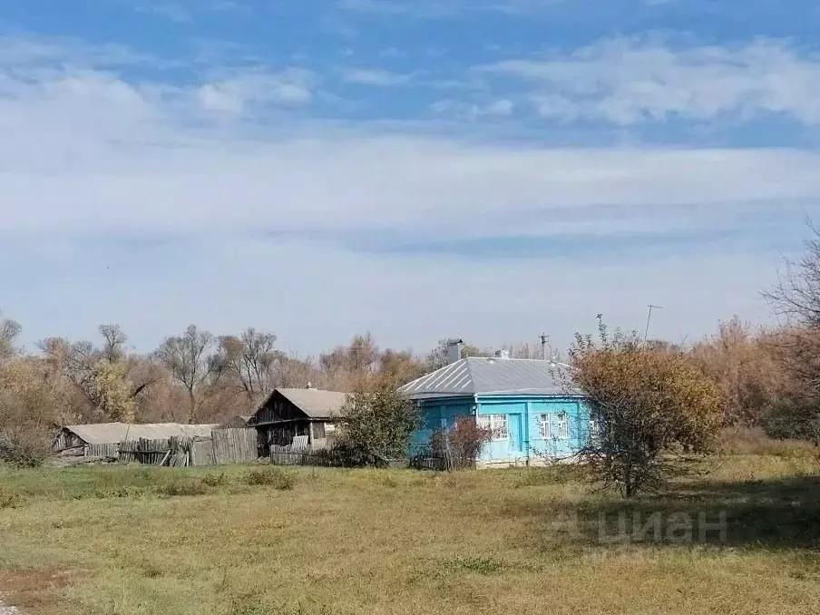 Костино отделец воронежская область. Село Русаново Воронежской области. Костино-Отделец тропа к речке. Село Костено Отделец.