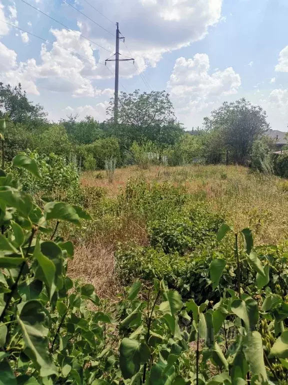 Участок в Ростовская область, Новочеркасск № 6 садовое товарищество, ... - Фото 1